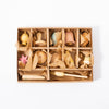 Grapat Wonders | © Conscious Craft